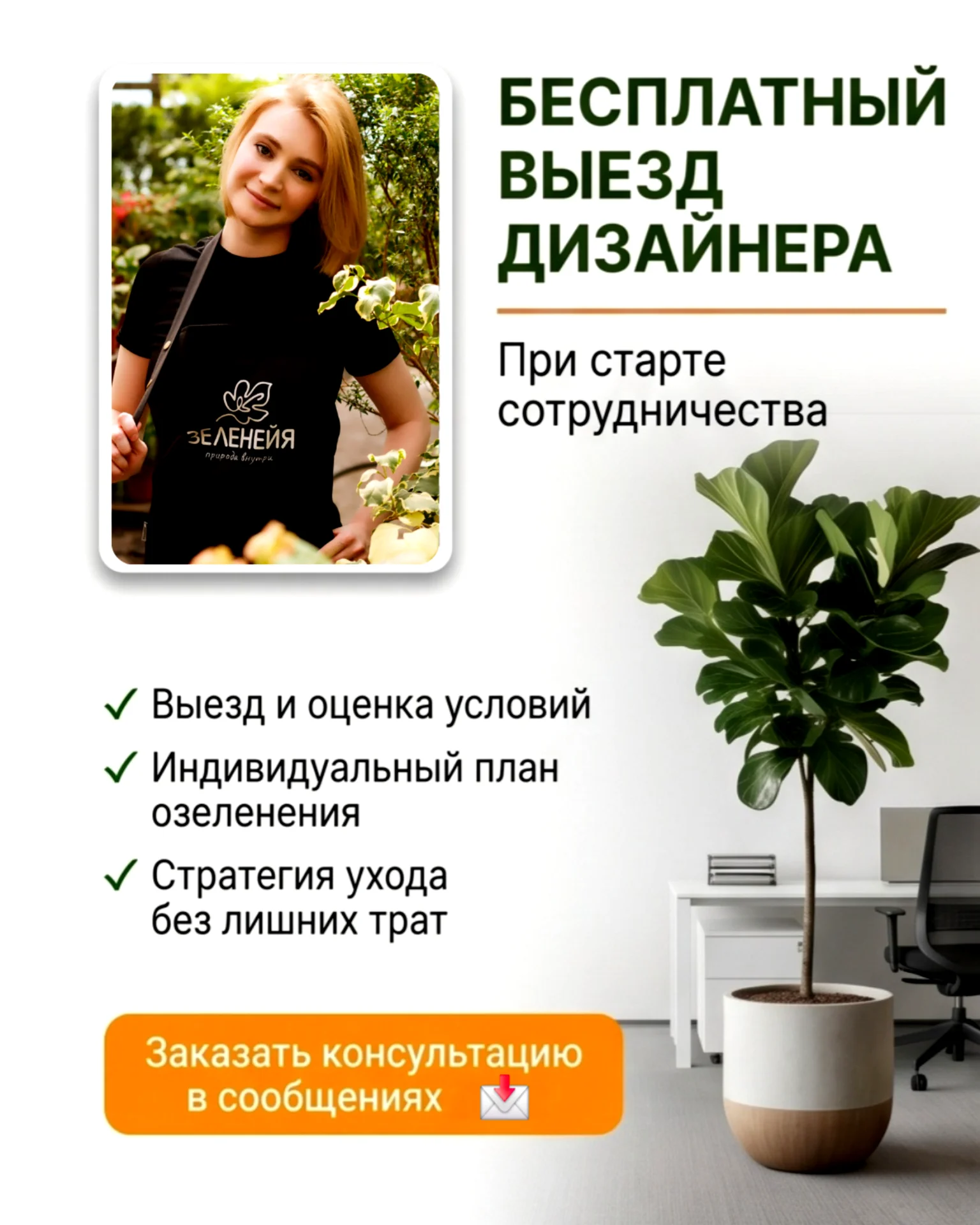 Озеленение дом/офис/ресторан Фитодизайн Уход Перес - миниатюра 9