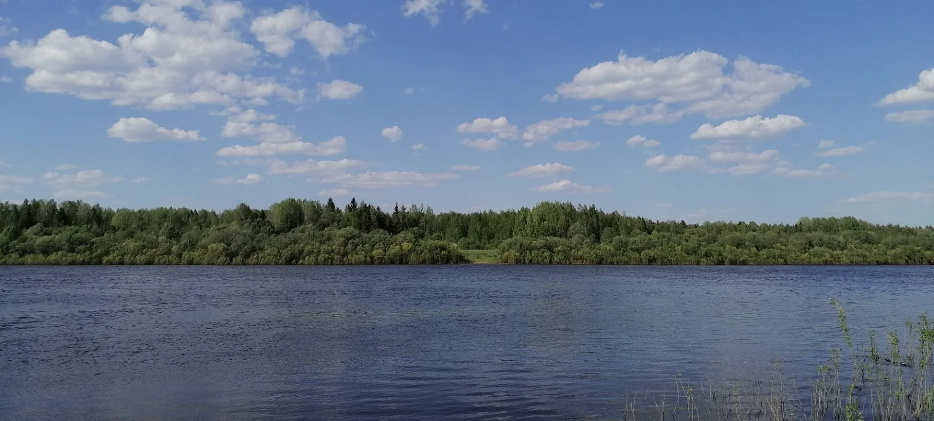 Участок в п.Шуйское Вологодской области - миниатюра 2
