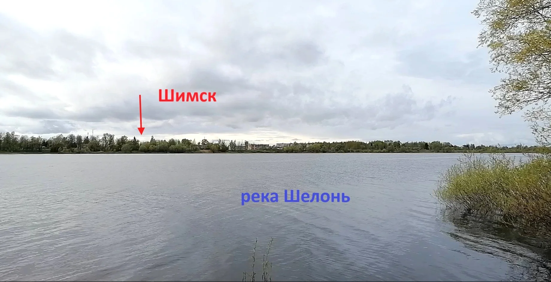 Участок 15 соток в Шимске Новгородской области - миниатюра 3