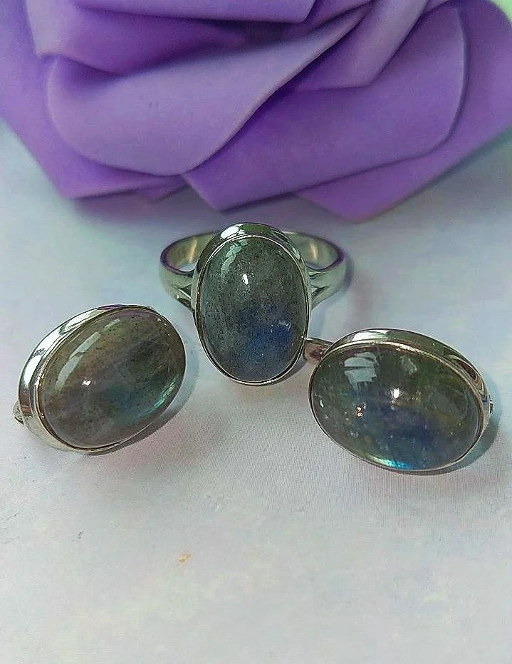 Серебряный комплект с лабрадорами