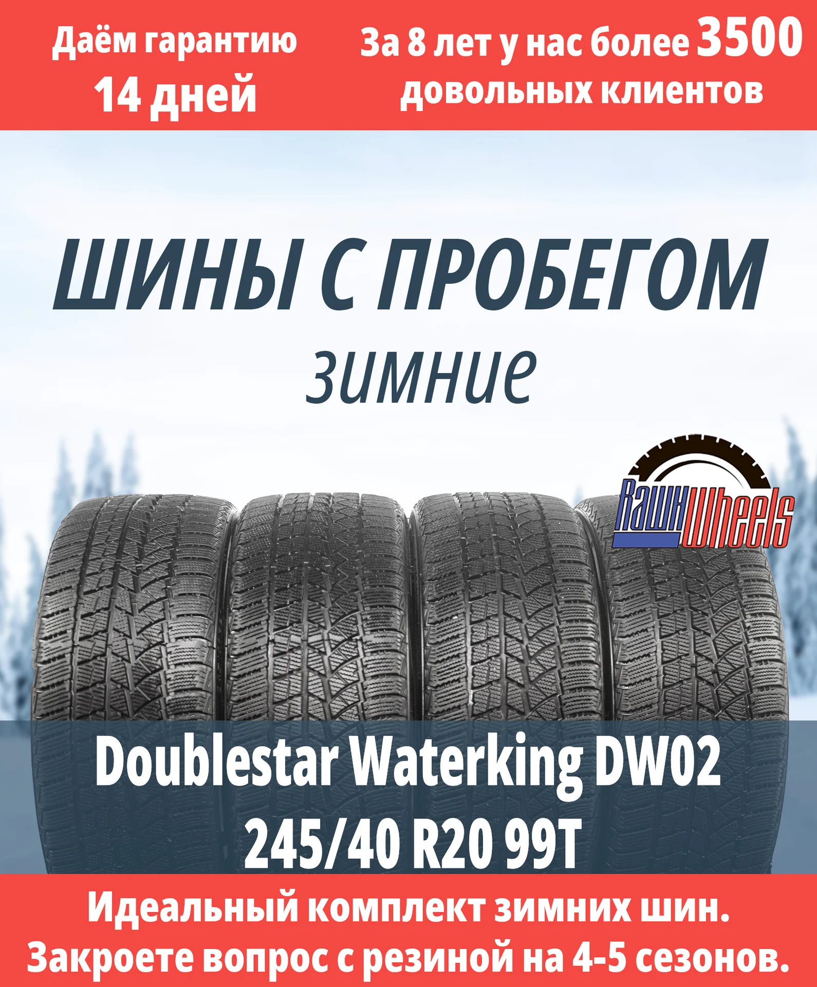 Doublestar Waterking DW02 245/40 R20 99T - изображение 1