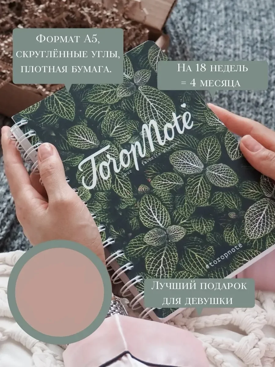 Планер ежедневник недатированный женский ToropNote - изображение 1
