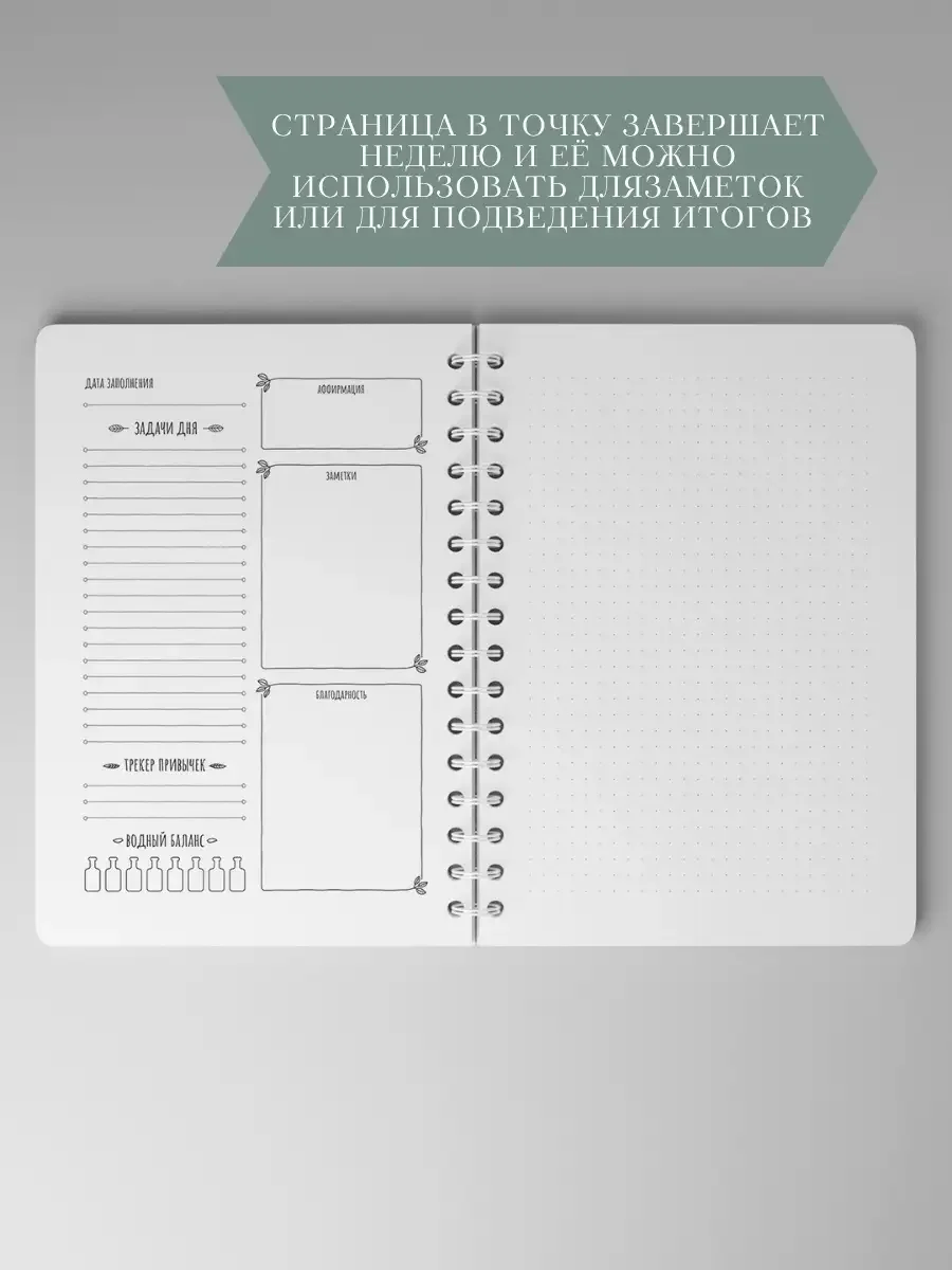 Планер ежедневник недатированный Лотос ToropNote - миниатюра 7