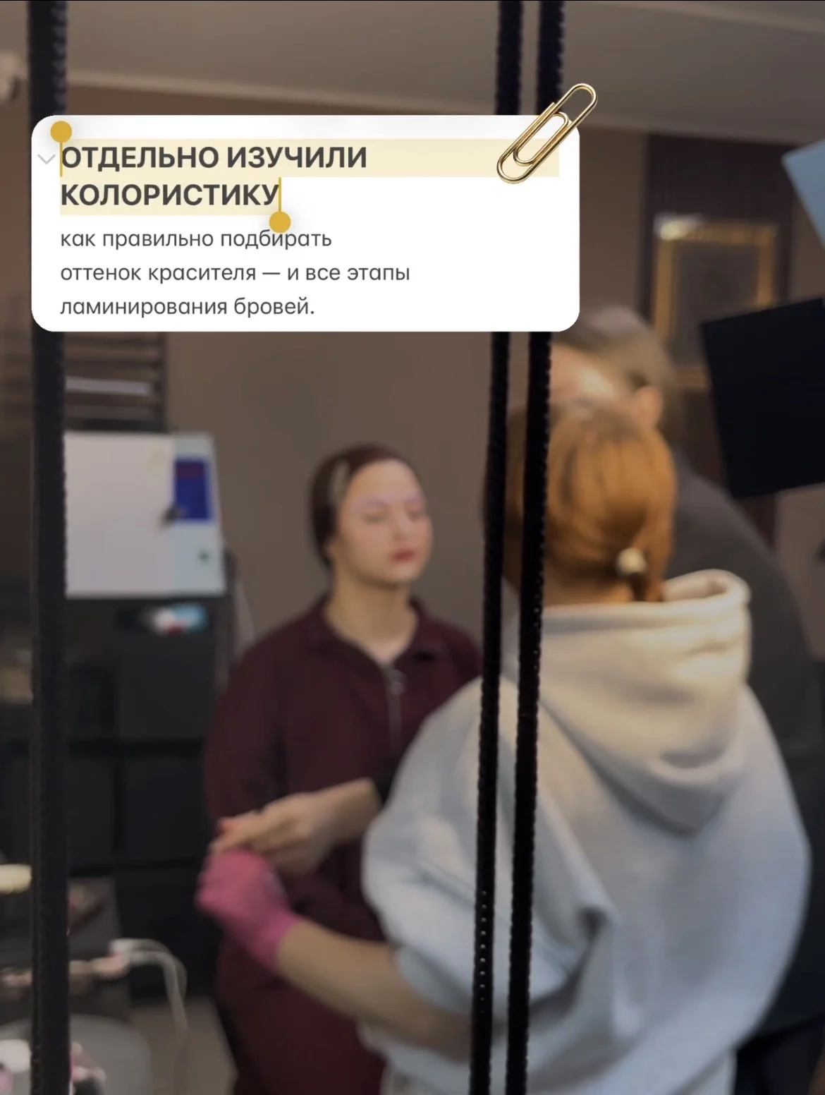 Обучение на мастера бровиста - миниатюра 3