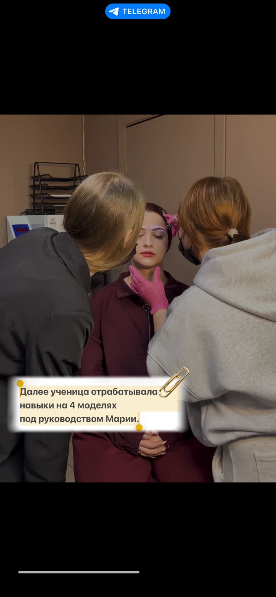 Обучение на мастера бровиста - миниатюра 5