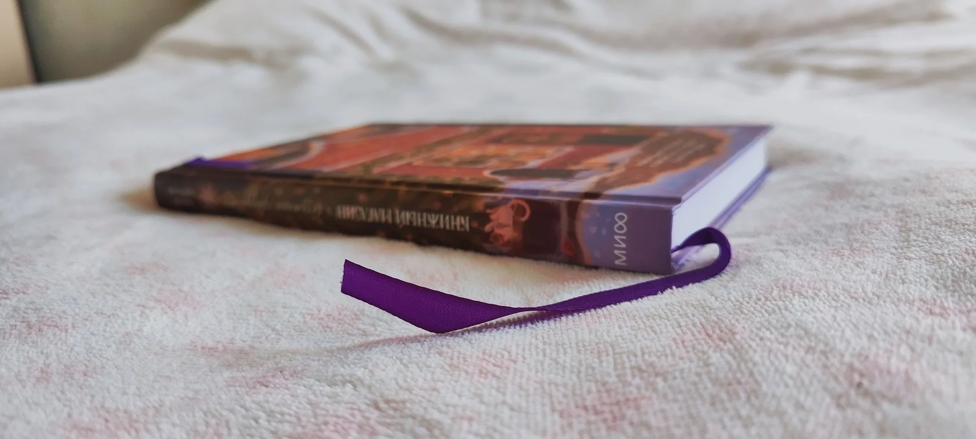 П. Хартлиб "Книжный магазин и безумные праздники" - миниатюра 2