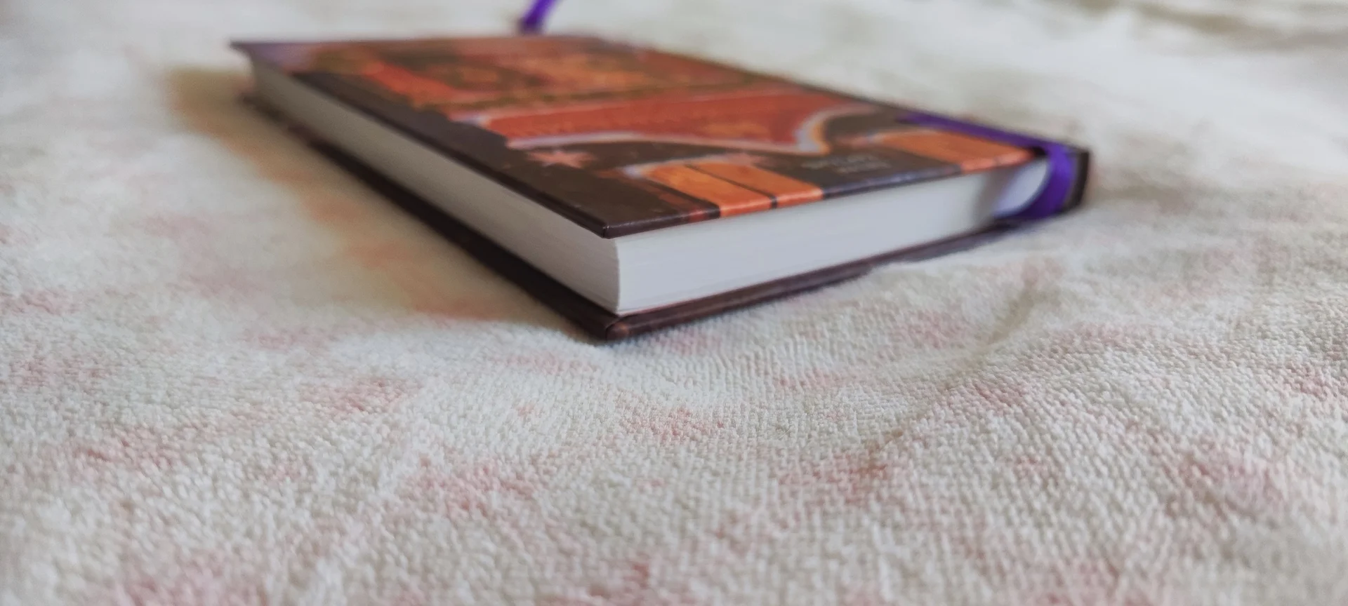 П. Хартлиб "Книжный магазин и безумные праздники" - миниатюра 3
