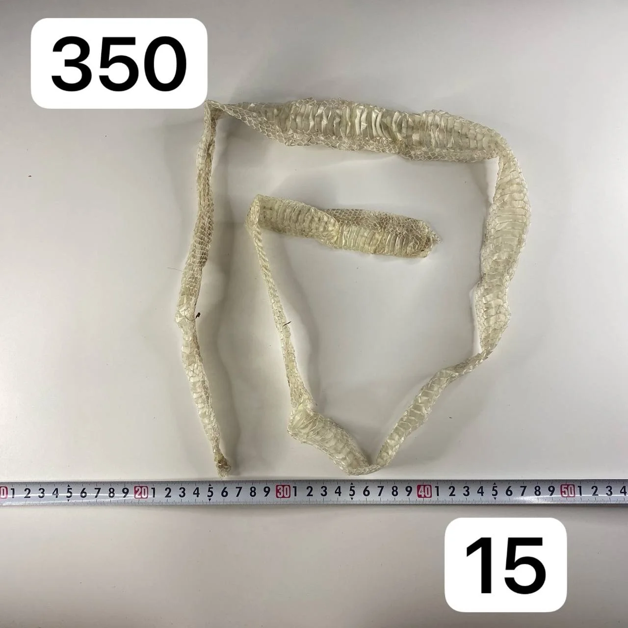 Змеиная кожа (выползок) - миниатюра 16