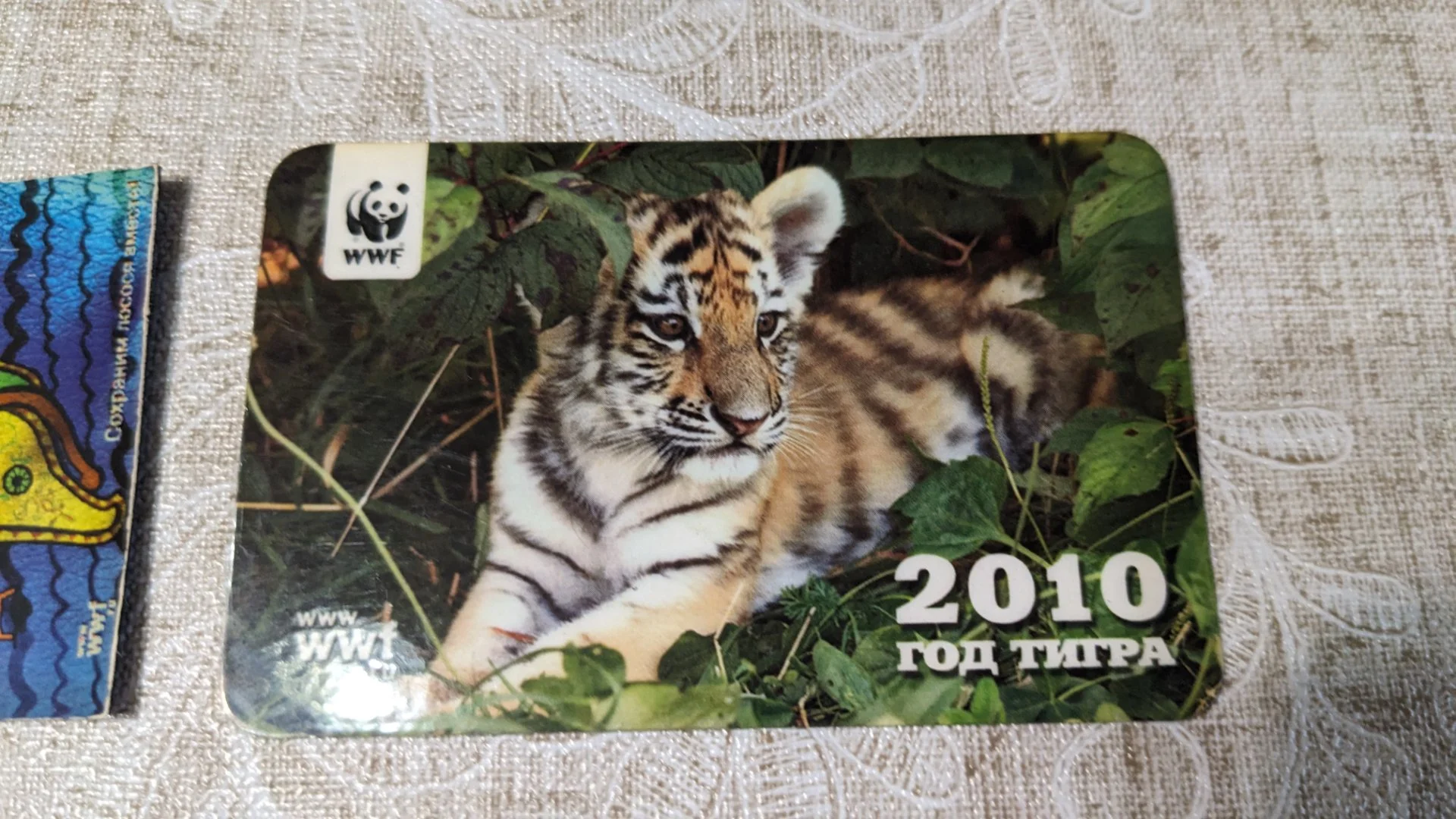 Магниты WWF Всемирный фонд охраны дикой природы - миниатюра 3