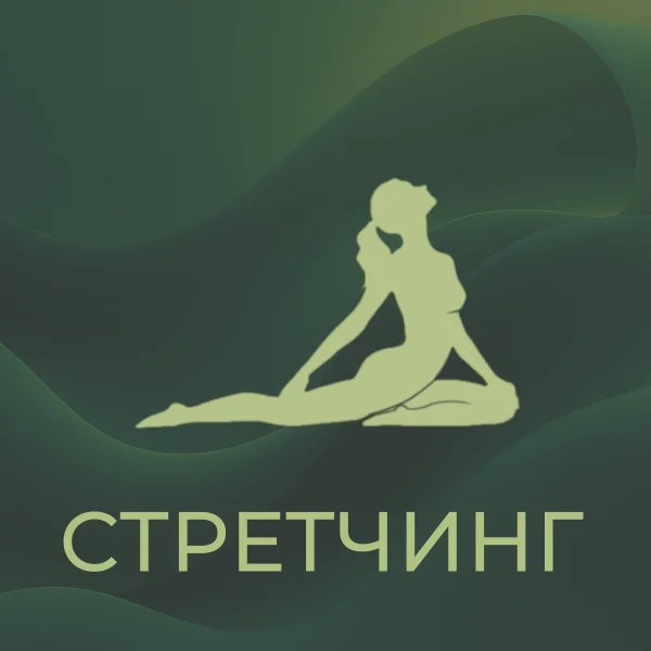 Растяжка и Стретчинг для начинающих в студии - изображение 1