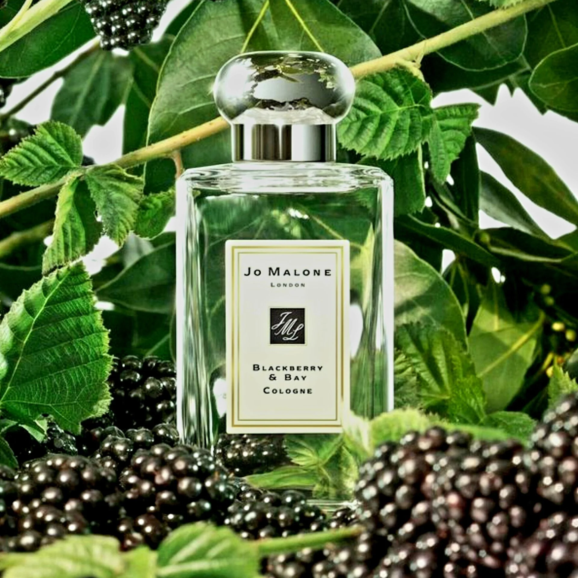 Jo Malone Blackberry & Bay распив - изображение 1
