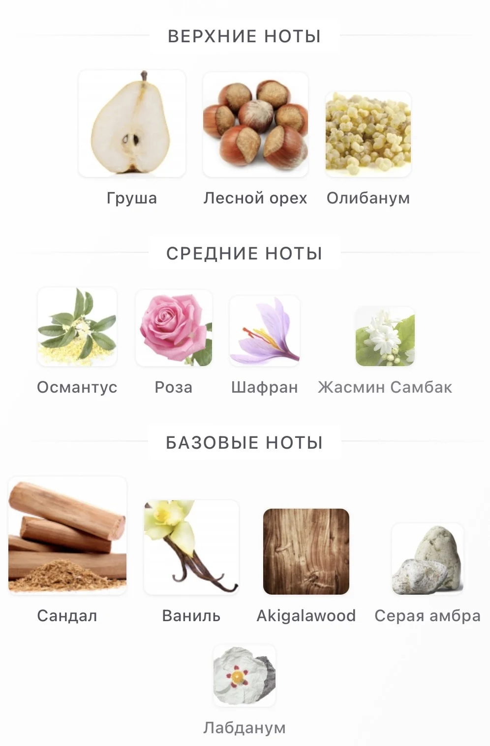 Amouage Guidance - миниатюра 3