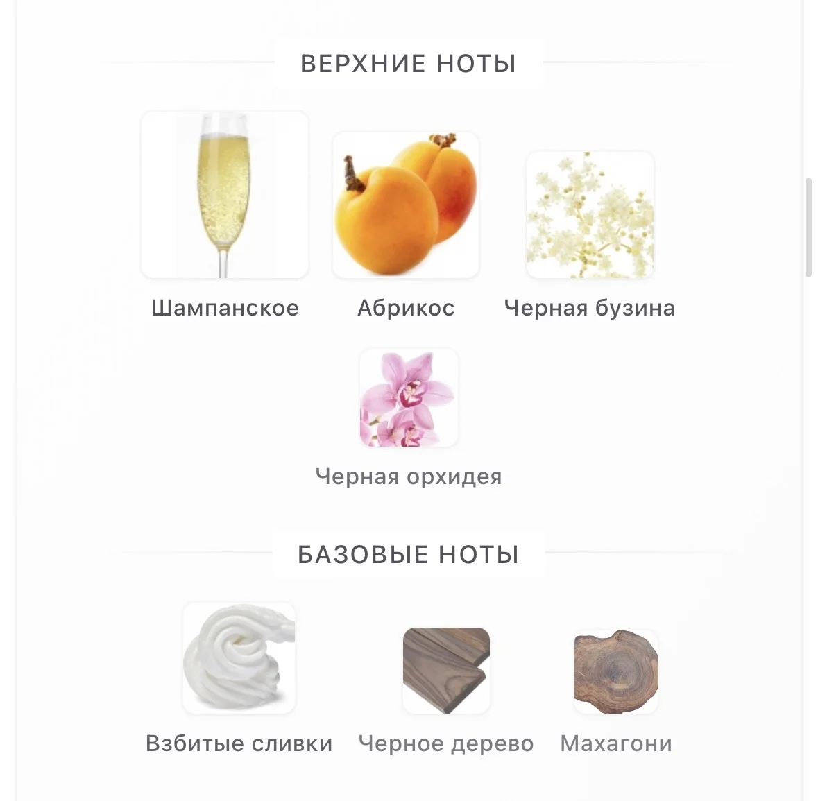 Zarkoperfume Pink Molecule - миниатюра 3