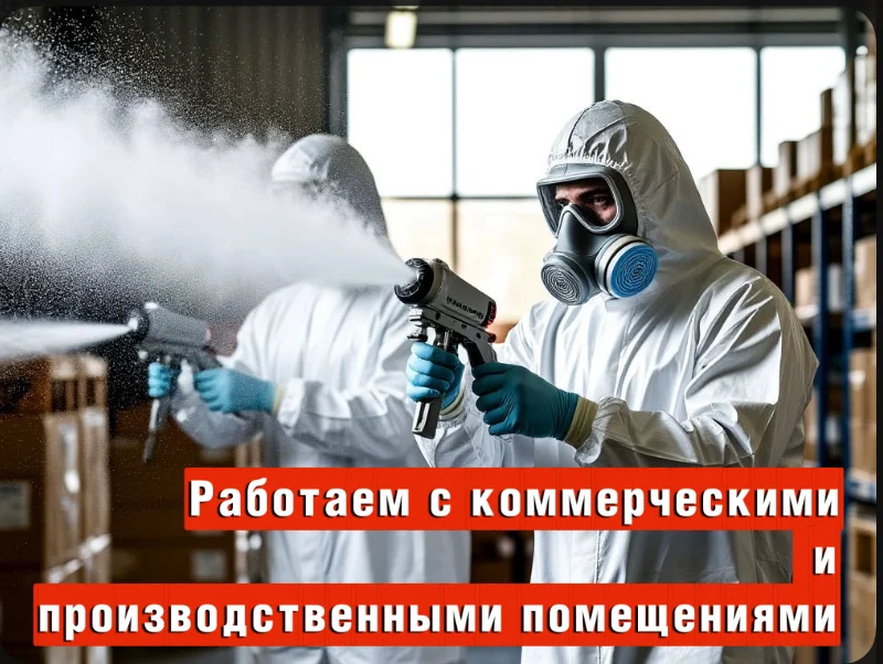 Уничтожение тараканов, клопов. Дезинсекция - миниатюра 3