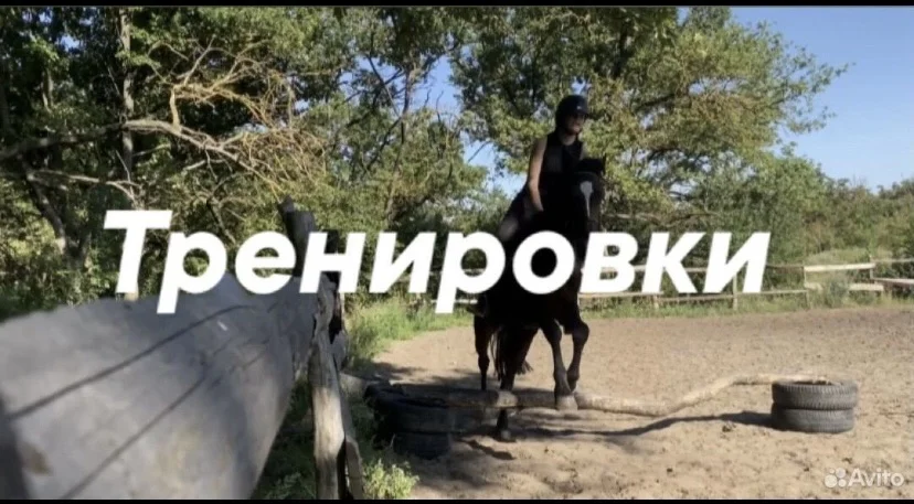 Конные прогулки и обучение верховой езде - миниатюра 2