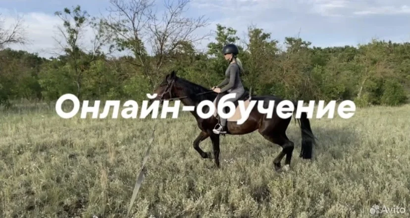 Конные прогулки и обучение верховой езде - миниатюра 4