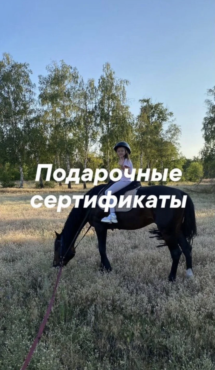 Конные прогулки и обучение верховой езде - миниатюра 5