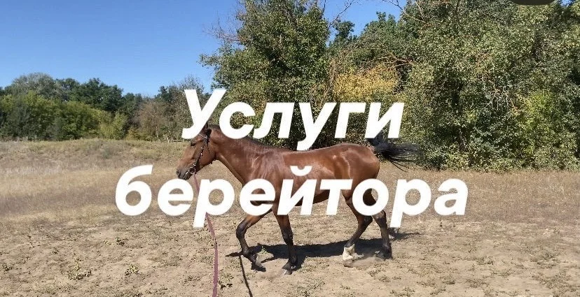 Конные прогулки и обучение верховой езде - миниатюра 6