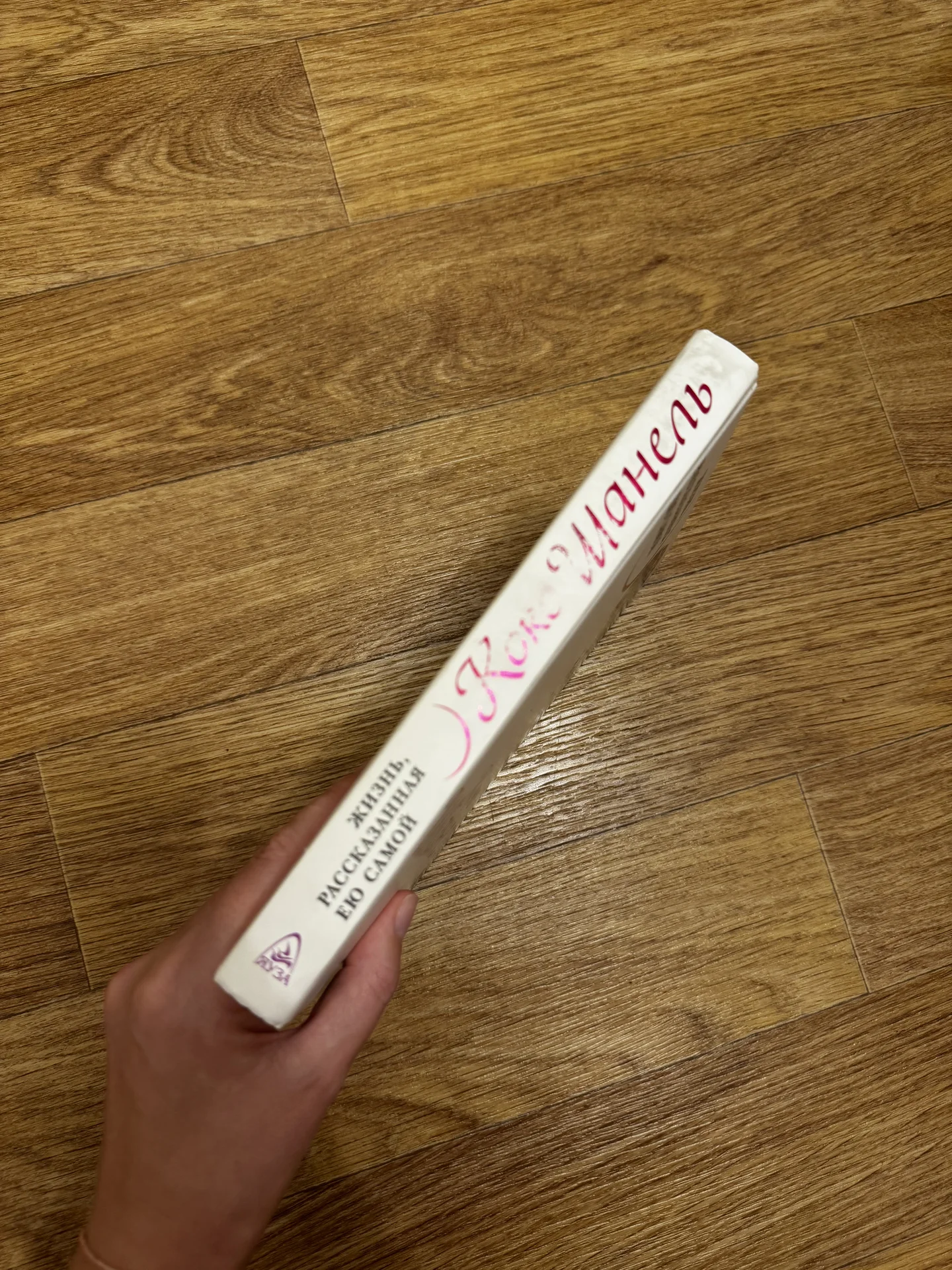 Книга - миниатюра 2