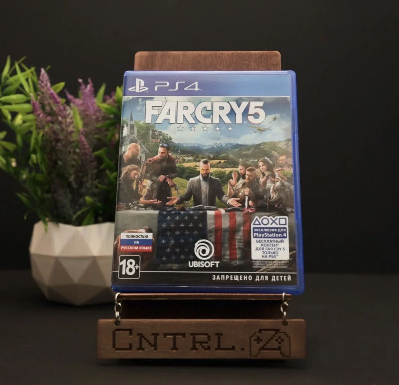 Far Cry 5 PS4/PS5 Диск - изображение 1