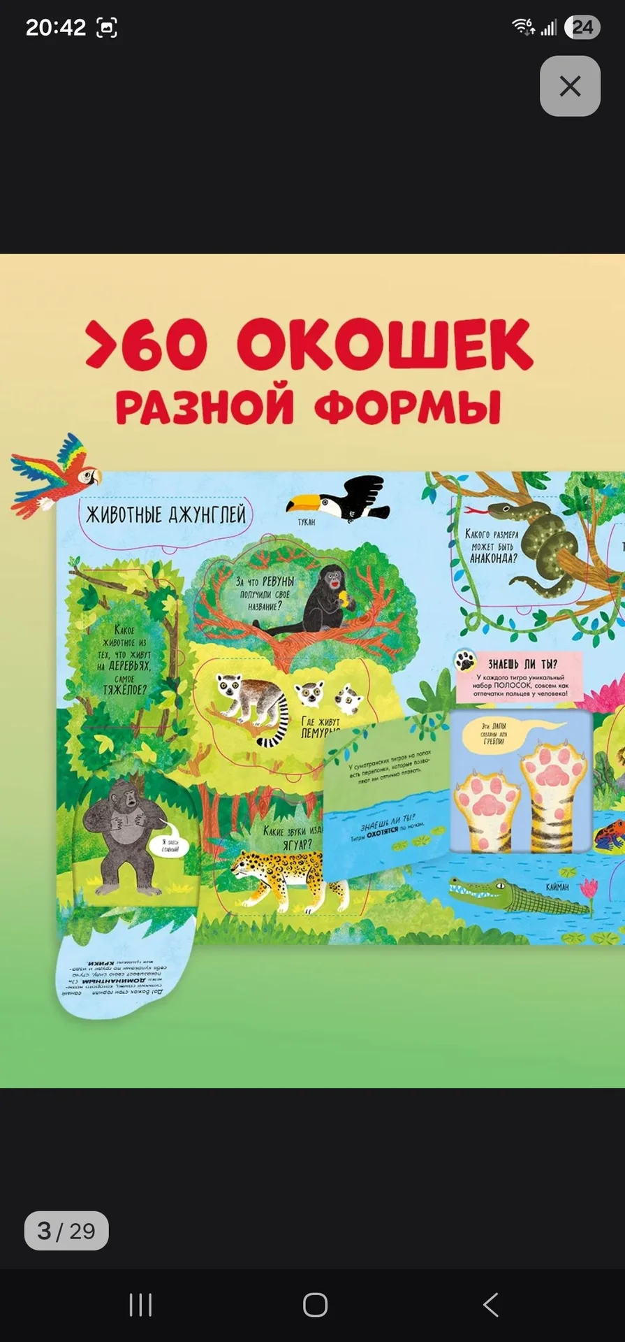 книга животные clever - миниатюра 11