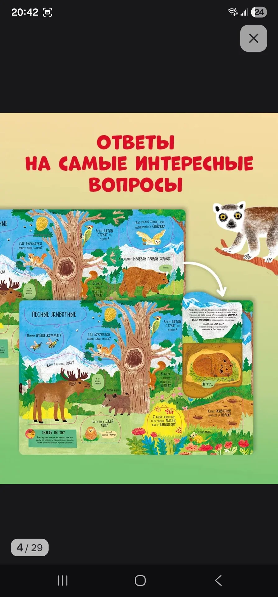 книга животные clever - миниатюра 12