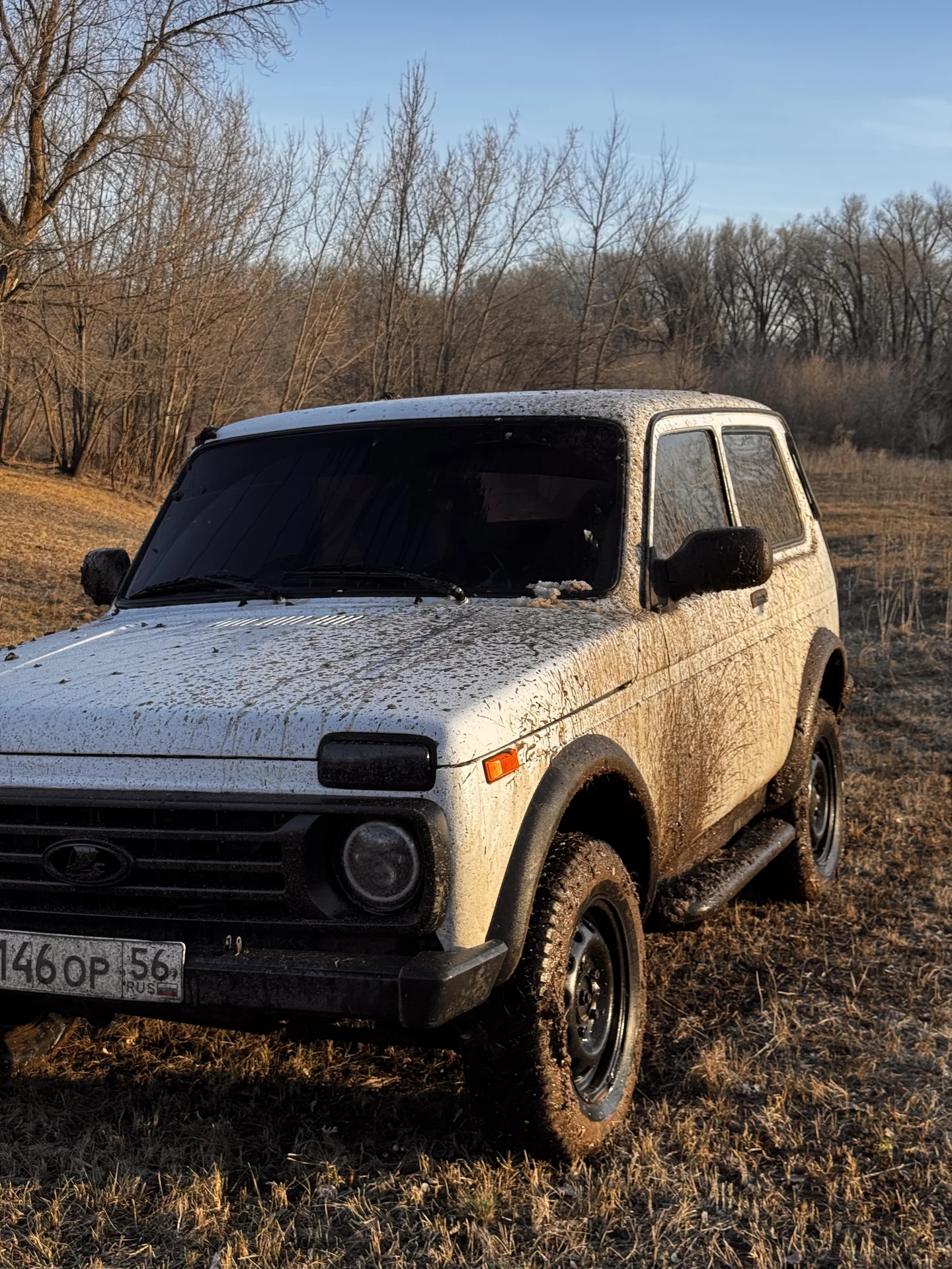 Продам Ниву - миниатюра 7