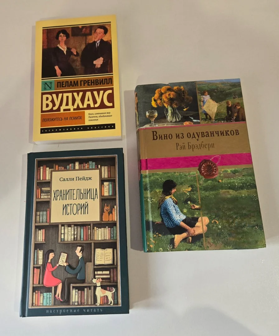 Книги Тэффи Ильяхов Хейли Вудхаус Брэдбери Пейдж - миниатюра 10
