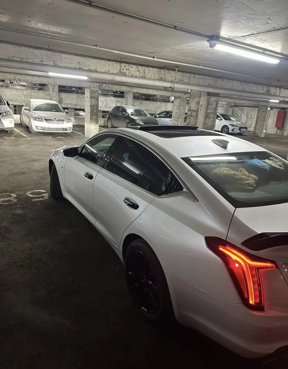 Cadillac ct5 - миниатюра 3