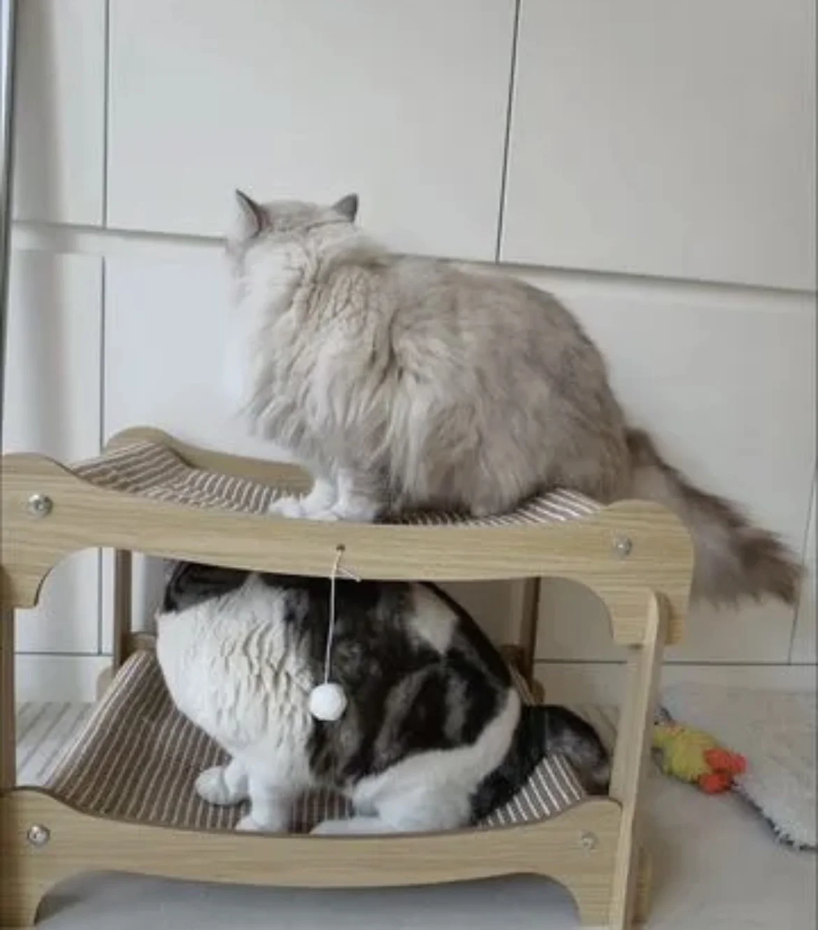 Когтеточка лежанка для кошки 2в1 для крупных котов - миниатюра 2