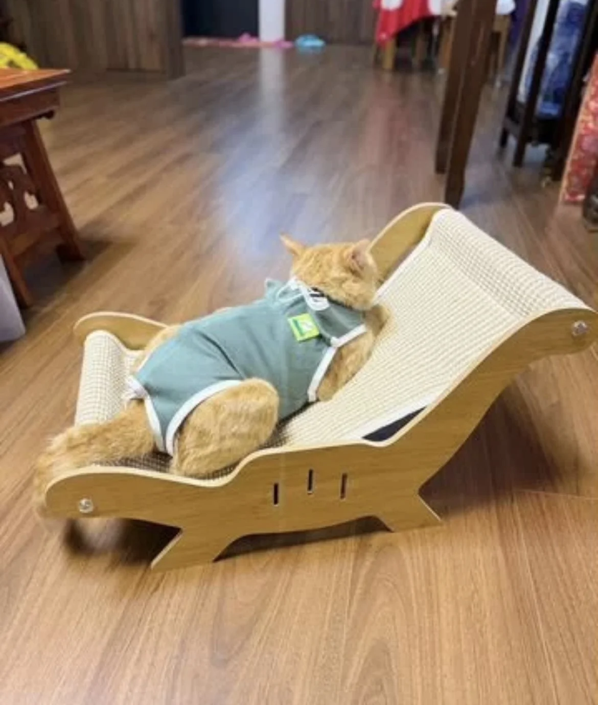 Когтеточка лежанка для кошки 2в1 для крупных котов - миниатюра 4