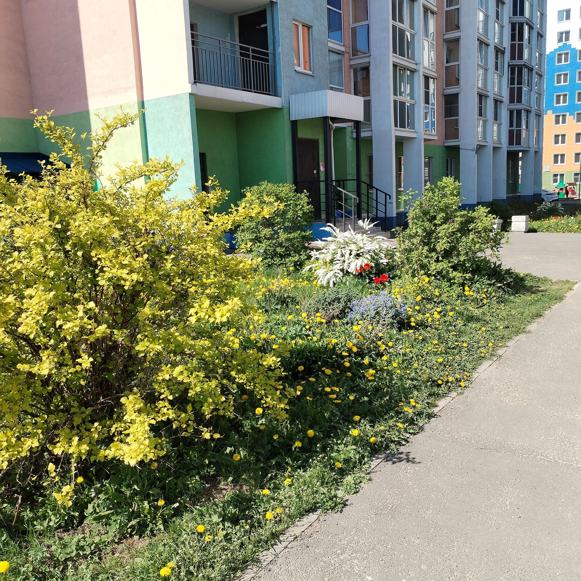 Квартира с высокими потолками - миниатюра 5