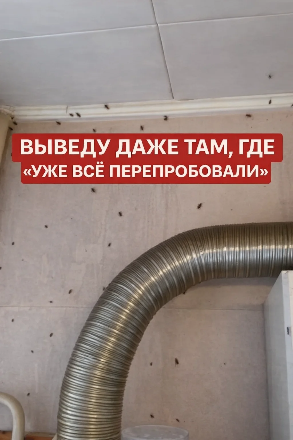 Дезинсекция,уничтожение насекомых - миниатюра 4