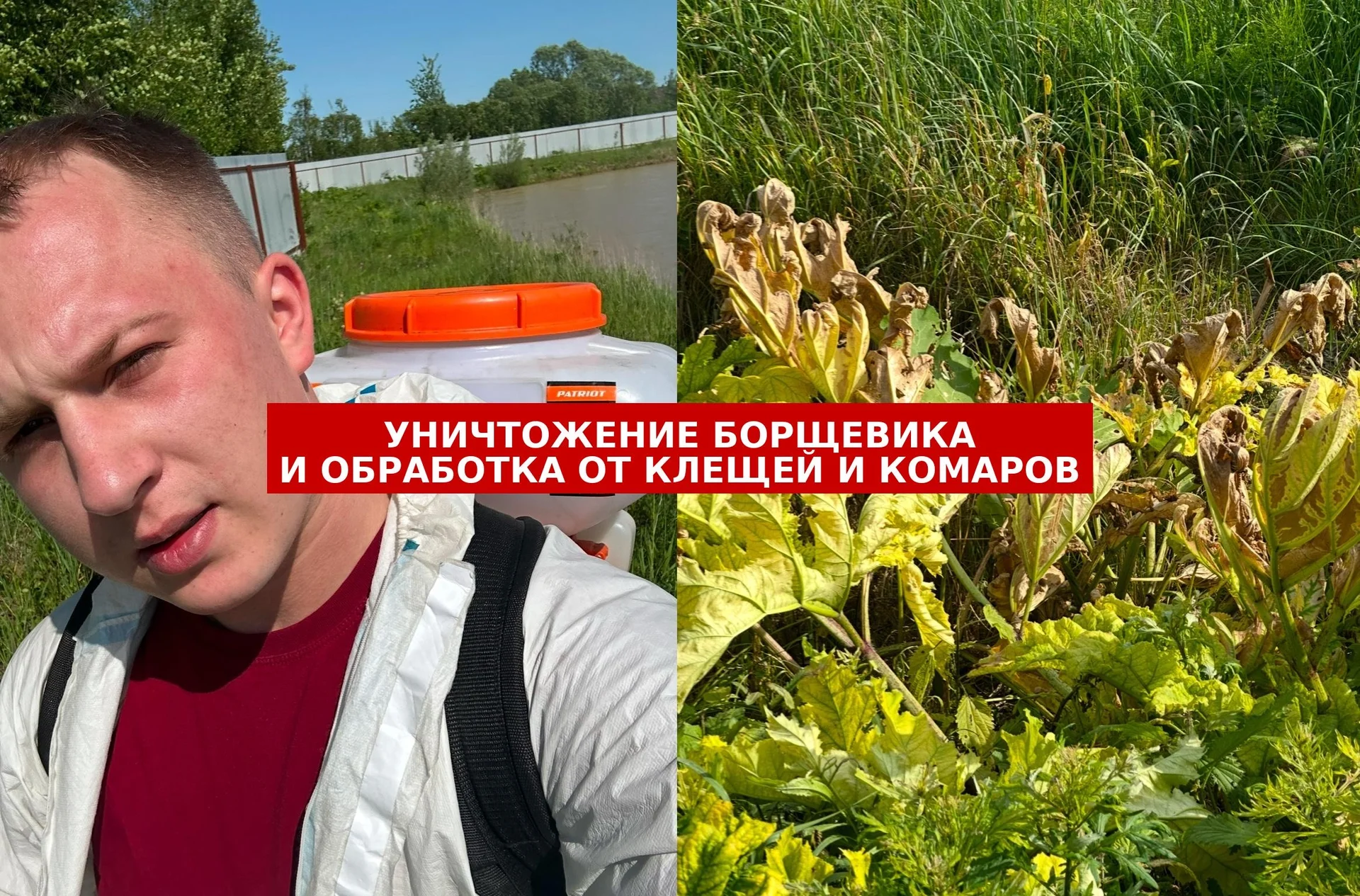 Дезинсекция,уничтожение насекомых - миниатюра 5