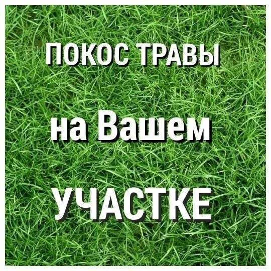 Аккуратный покос травы на участке — чистота и поря - изображение 1