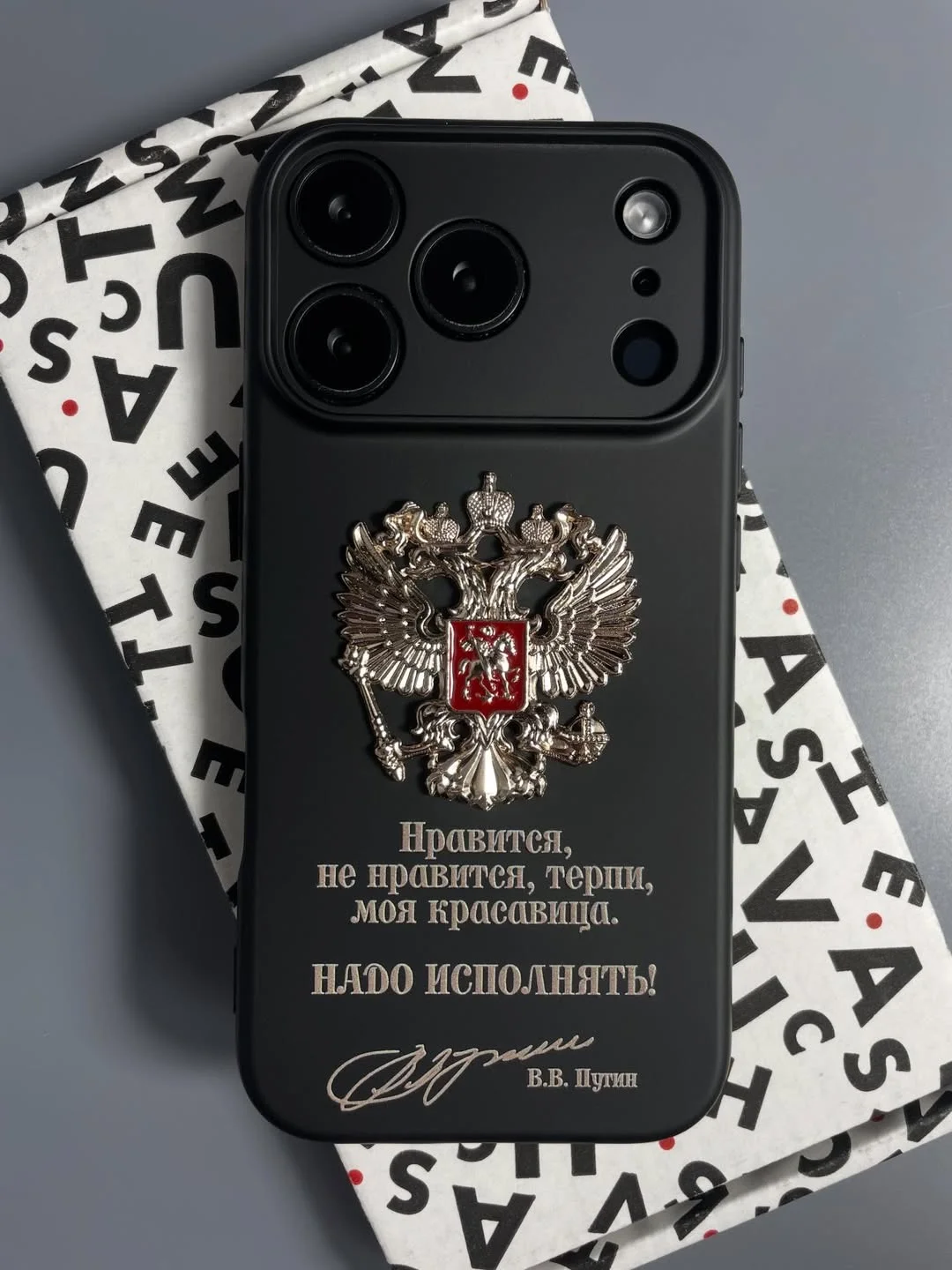 Чехол с гербом - миниатюра 3