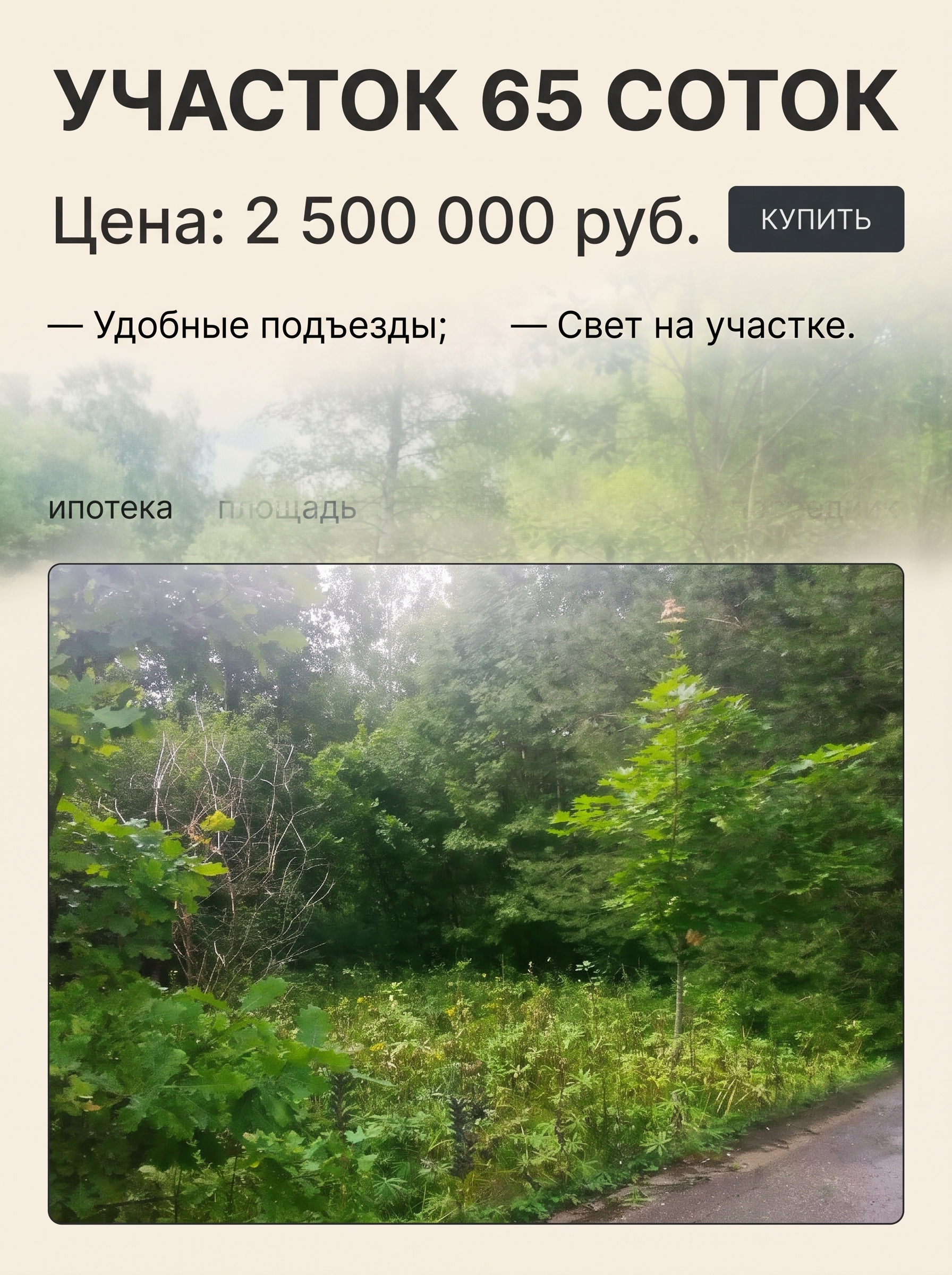 Участок 65 соток в д. Бельское - миниатюра 8