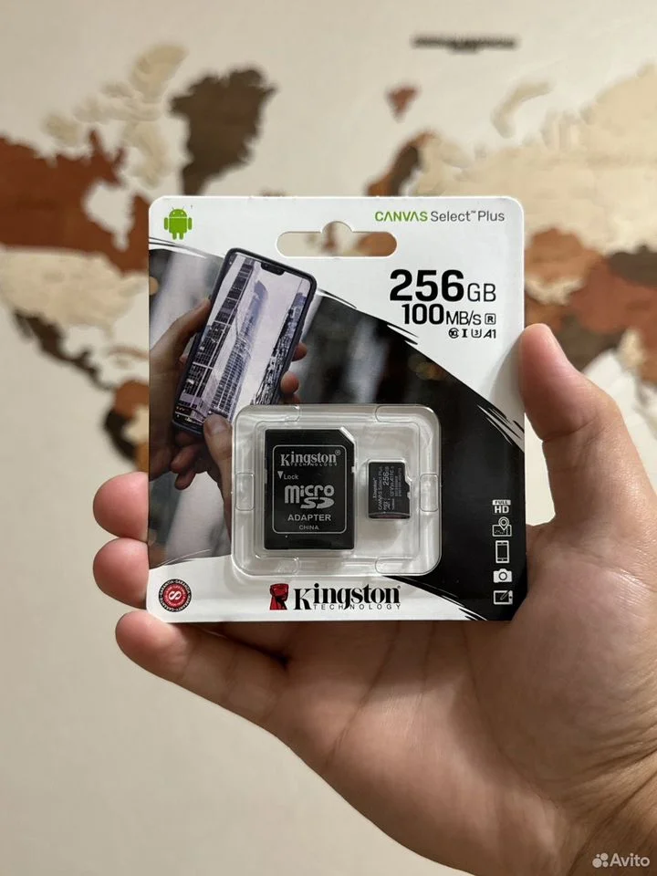Kingston Canvas Select Plus 256 GB - изображение 1