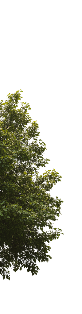 parallax-tree