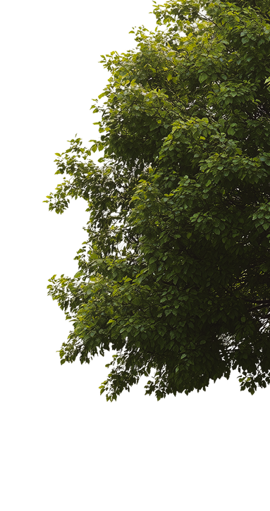 parallax-tree
