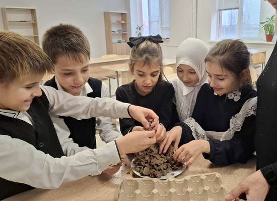 Автор работы