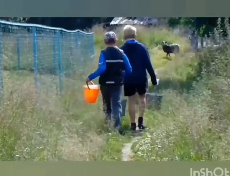 Непосредственно монтировали видео.