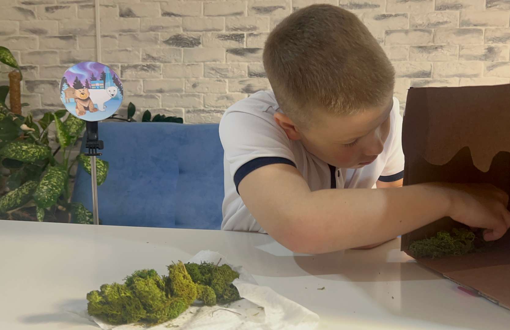 Фотография работы