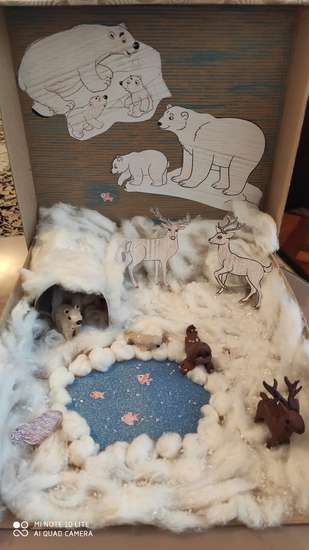 Животный мир  Севера