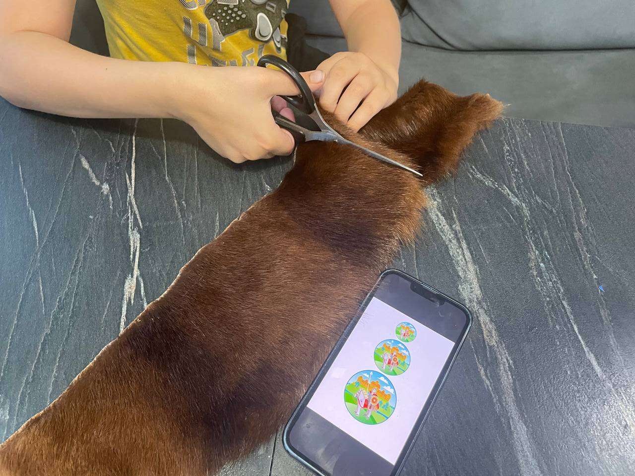 Фотография работы