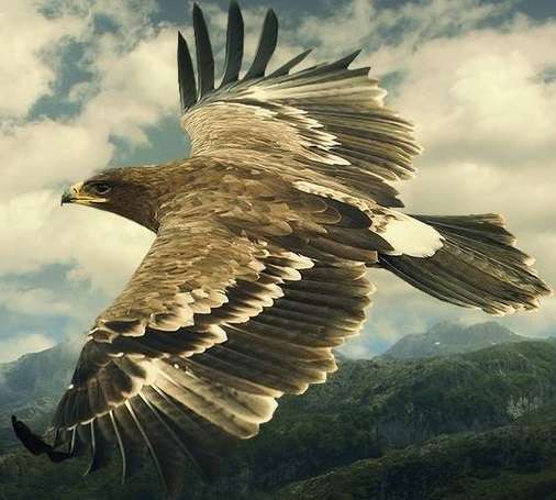 Арсланханова Забидат Магомедалиевна