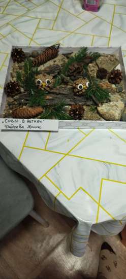 Совы в ветках