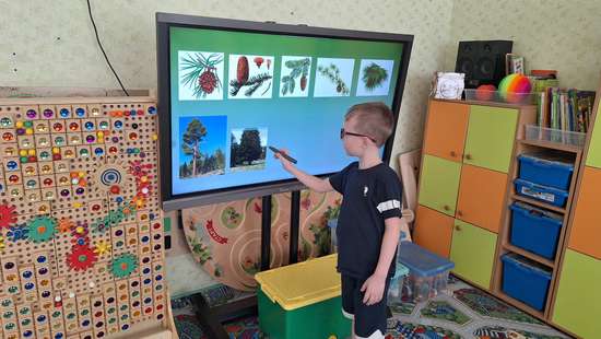 Виртуальная экскурсия "Югорская тайга"