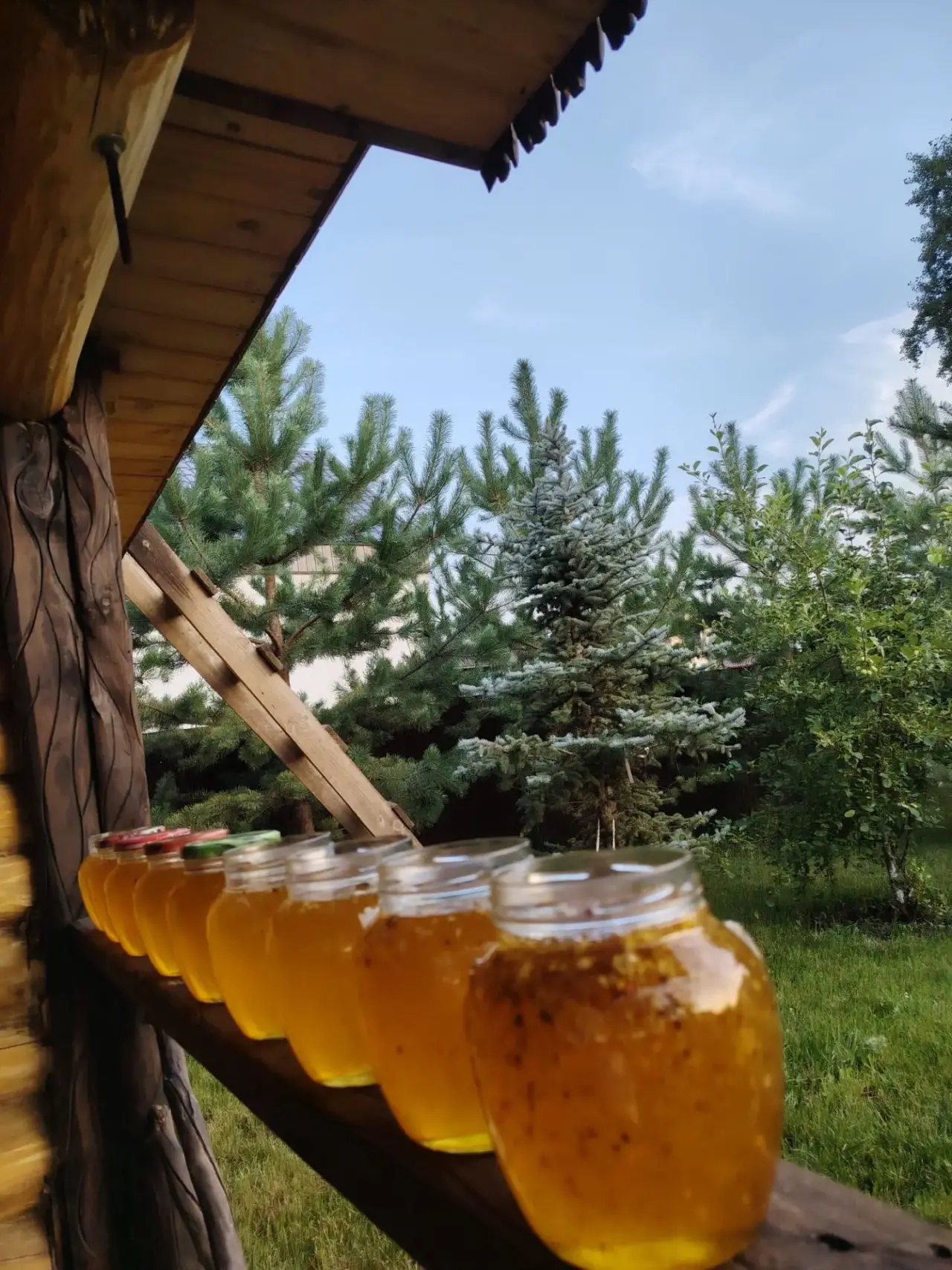 Результат нашего труда- ароматный цветочный мед!
Он по-особому ценный и настоящий, так мы все вместе принимали участие в его « изготовлении» - от момента заготовки рамок и установки ульев, до дегустации готового продукта- МЕДА!!!