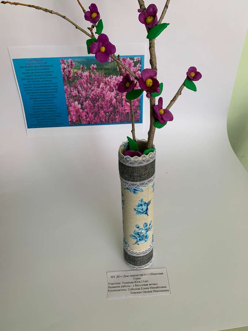 Фотография работы